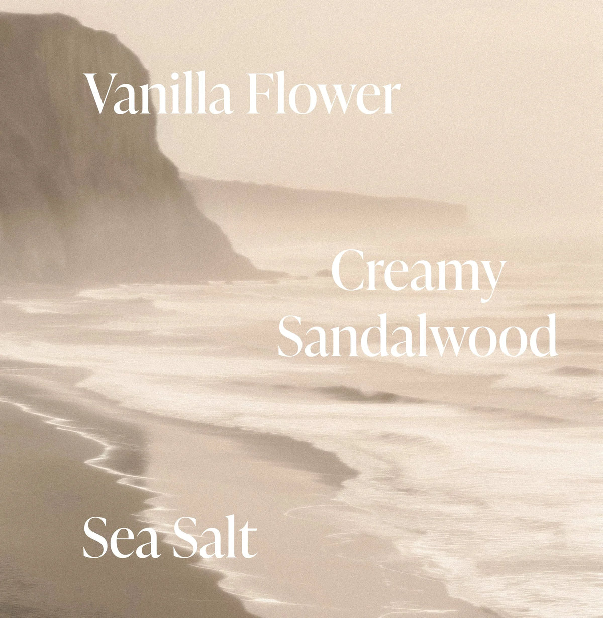 Salt Water Vanilla - Vault Set