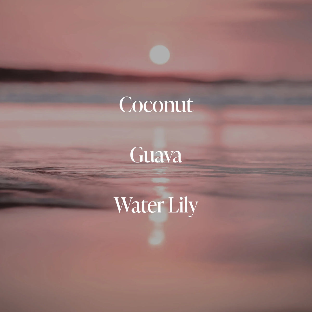 Coral Coast - Body Rituals Set