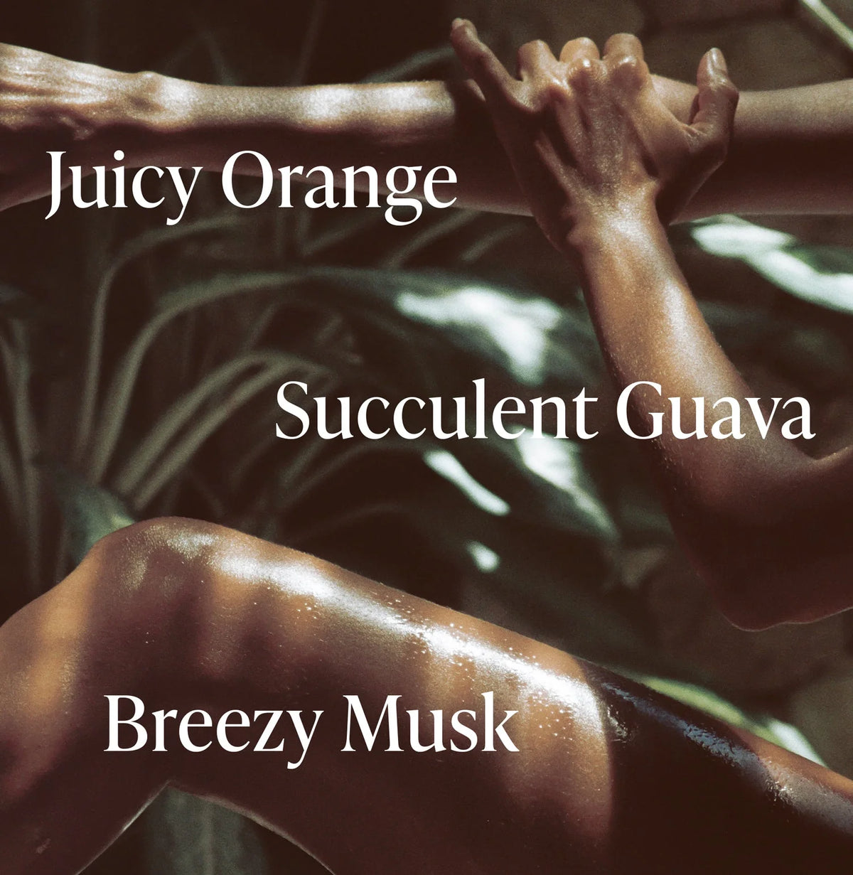 Exotic Pulp - Body Duo